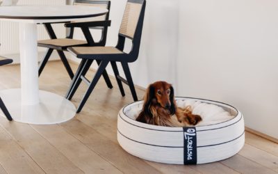 District 70 designs dog beds that fit any interior style